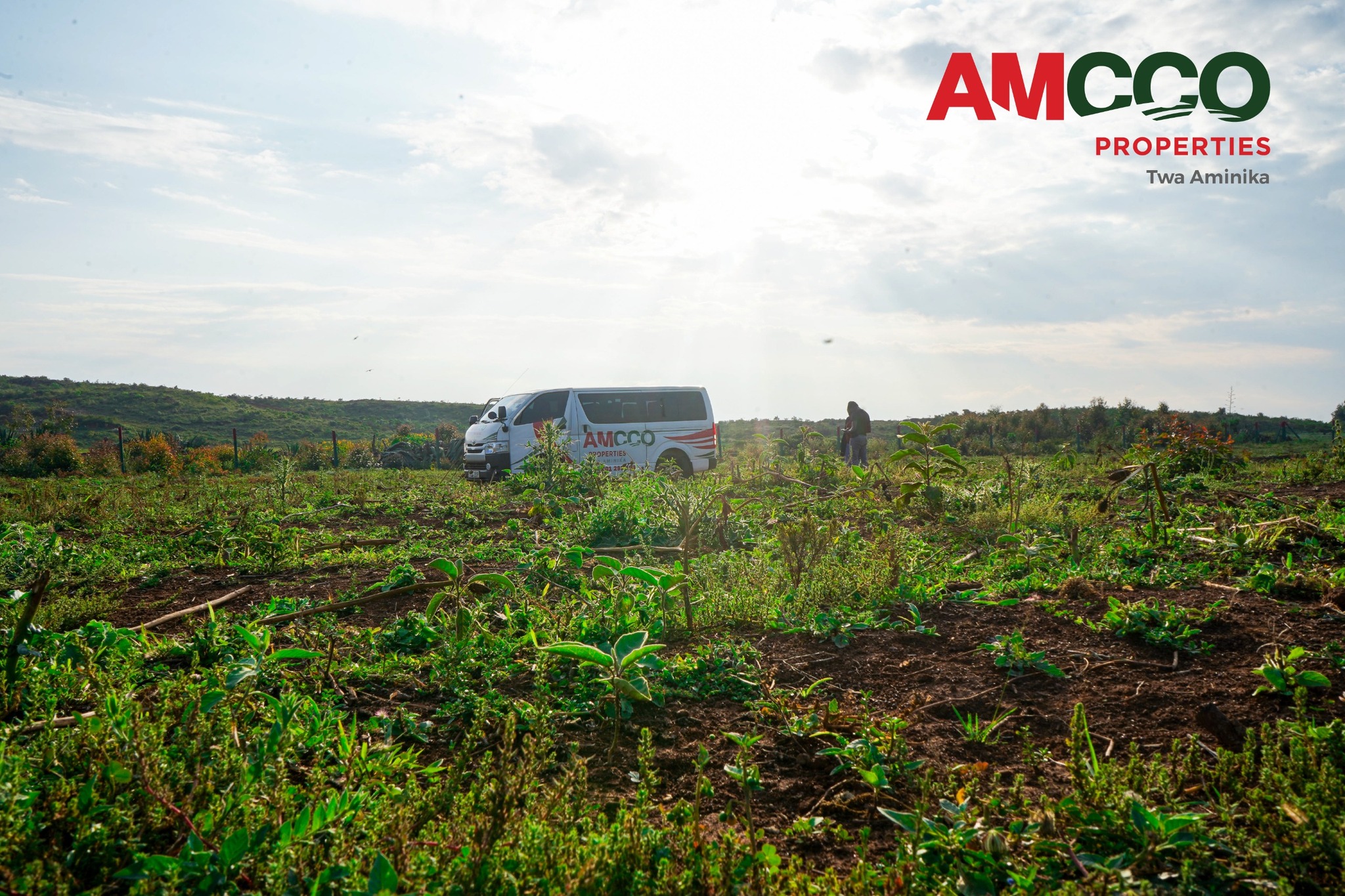 Goldleaf Land For Sale Kikuyu